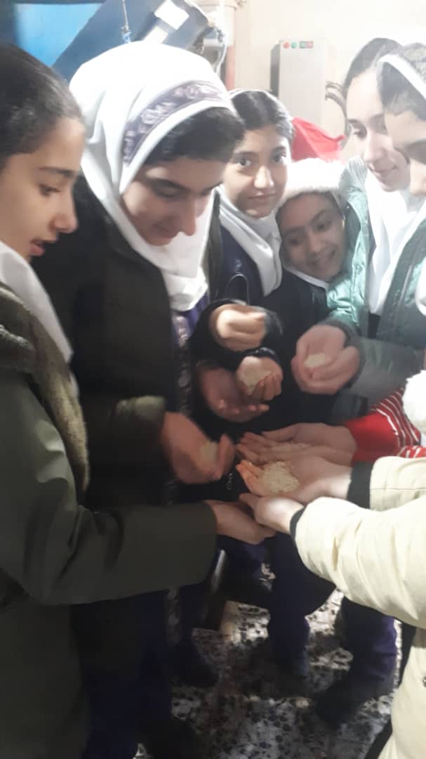 بازدید دختران ششم از کارخانه برنجکوبی